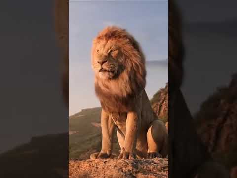 watch the lion king online dailymotion